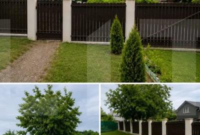 Casă cu 3 camere cu Teren 1300 Mp în Zăicești