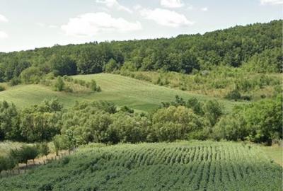 Teren de 4500 mp, în Gâdinți - 2