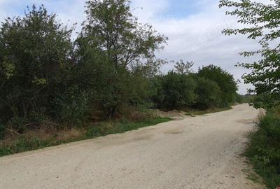 Teren de 680 mp, în Central - 5