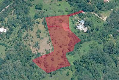 Teren de 6376 mp, în Valea Târsei - 2