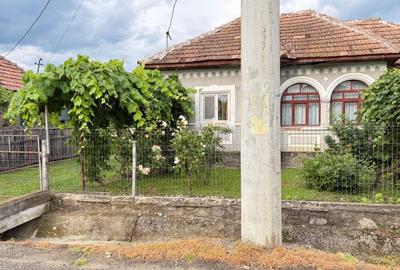Casă cu 3 camere în Berislăvești