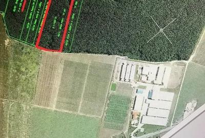 Teren de 25000 mp, în Șindrilița