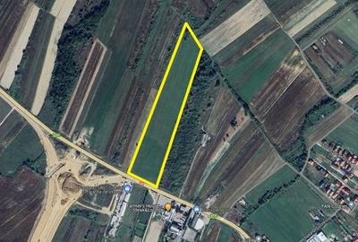 Teren Construcții extravilan de 49933 mp, în Beiuș - 1