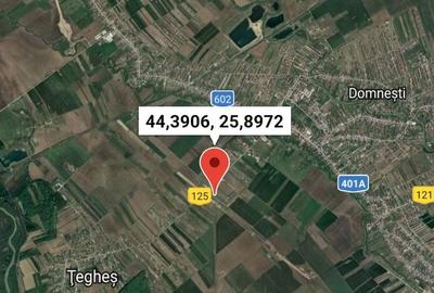 Teren Construcții intravilan de 800 mp, în Țegheș - 3
