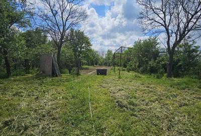 Casă cu 4 camere cu Teren 1427 Mp în Sâmbăta - 11