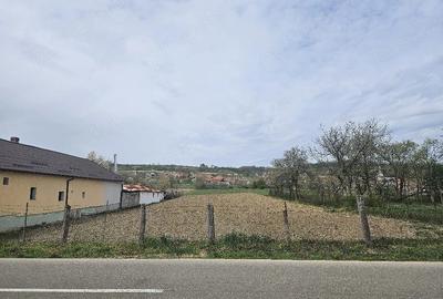 Teren de 2200 mp, în Petrani - 3