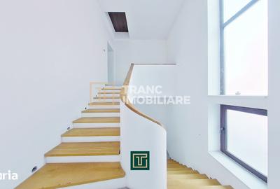 Spațiu comercial, de 393 mp, în Șega - 18
