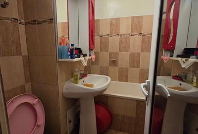 Apartament cu 2 camere semidecomandat în Viziru 3 - 4