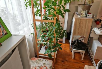 Apartament cu 2 camere nedecomandat, mobilat în Central - 4