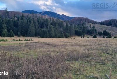 Teren de 4800 mp, în Central