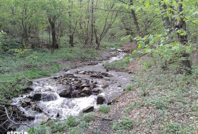 Teren de 5700 mp, în Râu de Mori