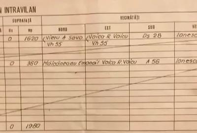 Teren de 1980 mp, în Bălteni - 4