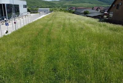 Teren de 13000 mp, în Viișoara - 4