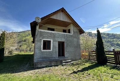 Casă cu Teren 770 Mp în Lotrioara