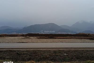 Teren de 9000 mp, în Est - 4