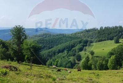 Teren de 128948 mp, în Munteni - 17
