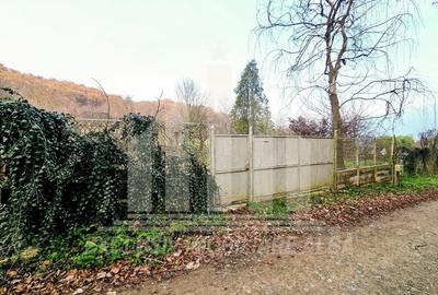 Teren Construcții intravilan de 2900 mp, în Vest - 3