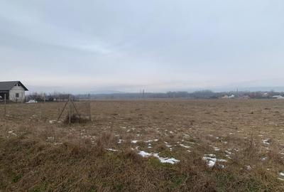Teren Construcții intravilan de 2000 mp, în Părhăuți - 4