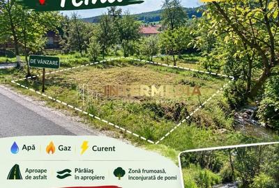 Spațiu comercial, în Țelna