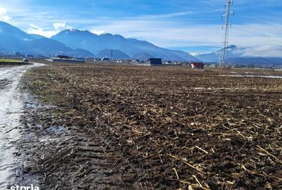 Teren de 3500 mp, în Movilei - 1