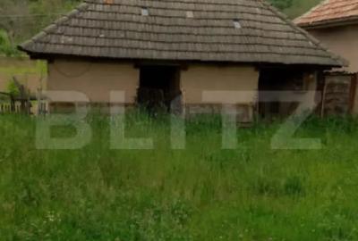 Casă cu 3 camere cu Teren 30000 Mp în Cuzăplac