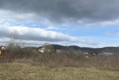 Teren de 1000 mp, în Bănești