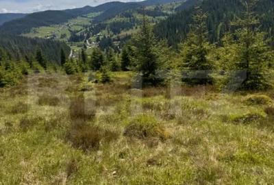 Teren în Vălișoara - 2