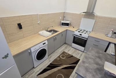 Apartament cu 2 camere în Burdea
