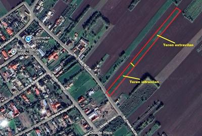 Teren de 6105 mp, în Sălciile - 1