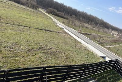 Teren de 686 mp, în Botorogi - 5