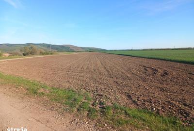 Teren de 11000 mp, în Ghioroc - 8