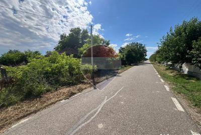 Teren în Călienii Noi