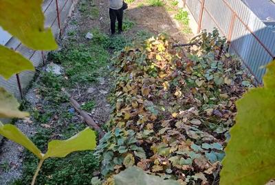 Casă cu Teren 200 Mp în Central - 3