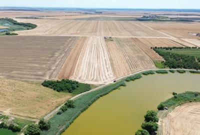 Teren Construcții extravilan de 6500 mp, în Frumușani - 17