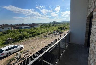 Casă cu 4 camere cu Teren 350 Mp în Jucu - 4