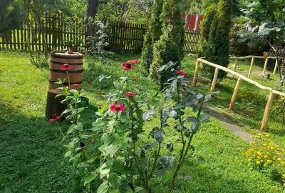 Casă cu Teren 1300 Mp în Piatra