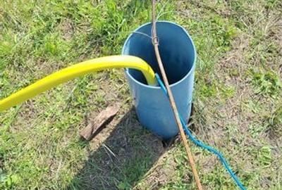 Teren de 750 mp, în Brănești - 2