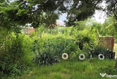Casă cu 3 camere cu Teren 5063 Mp în Uzunu - 11