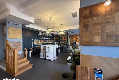 Spațiu comercial, de 255 mp, în Grivița