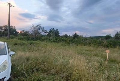 Teren de 1000 mp, în Pianu