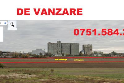 Teren de 50000 mp, în Cataloi - 2