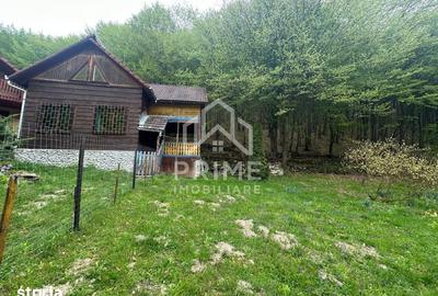 Casă cu 5 camere cu Teren 900 Mp în Ighiu - 12