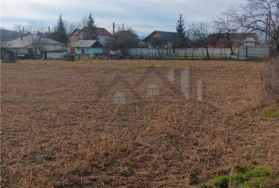 Teren de 3500 mp, în Bârnova - 3