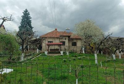 Casă cu 2 camere în Pietroasa - 6