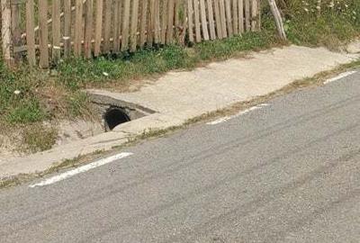 Teren de 2030 mp, în Rădăcinești - 7