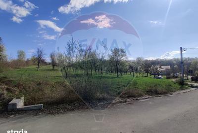 Teren de 1778 mp, în Dumbrăvița