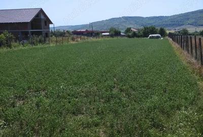 Teren de 1936 mp, în Central - 2