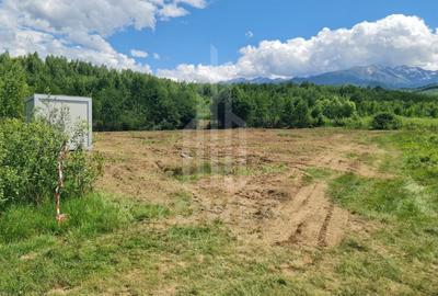Teren extravilan de 2500 mp, în Porumbacu de Jos - 3