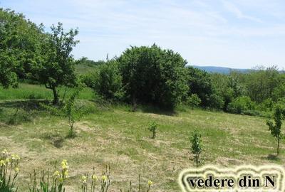 Teren de 1609 mp, în Seciu - 4