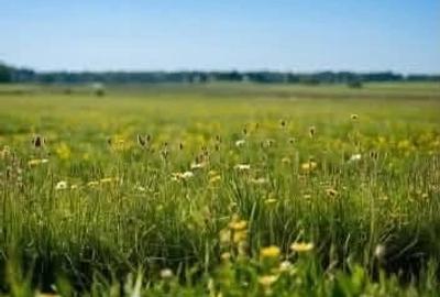 Teren de 3600 mp, în Sălicea